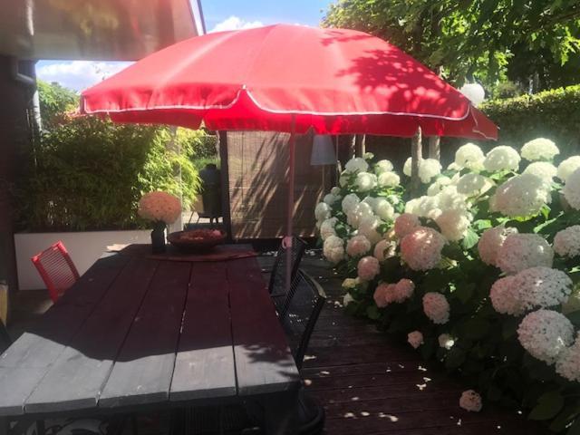 Geranio Bed and Breakfast Made Εξωτερικό φωτογραφία